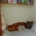 Sierra De Yeguas property: Beautiful Townhome for sale in Sierra De Yeguas 282506