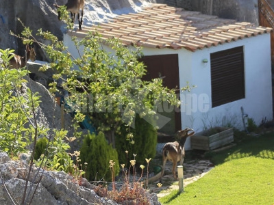 Ronda property: Villa with 5 bedroom in Ronda 282564