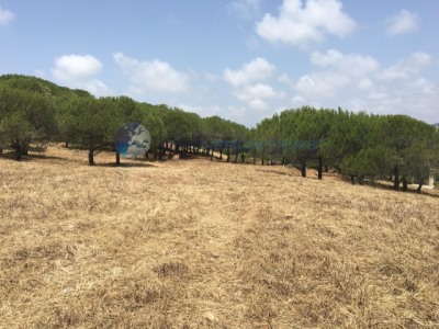 Sotogrande property: Land for sale in Sotogrande, Spain 282594