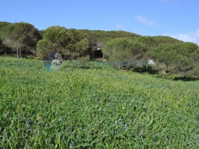Sotogrande property: Land with bedroom in Sotogrande, Spain 282594