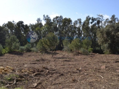 Sotogrande property: Cadiz Land 282594