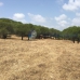Sotogrande property: Sotogrande, Spain Land 282594