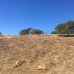 Sotogrande property: bedroom Land in Sotogrande, Spain 282594
