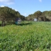 Sotogrande property: Beautiful Land for sale in Cadiz 282594