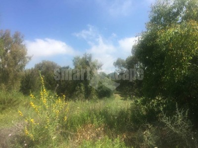 San Roque property: Land with bedroom in San Roque 282608