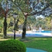 Marbella property: Malaga, Spain Apartment 282629