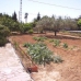 Elche property: Beautiful Villa for sale in Elche 282873