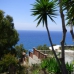 Mezquitilla property: Beautiful Villa for sale in Mezquitilla 282880