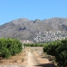 Pedreguer property: Pedreguer Villa, Spain 282882