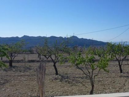 Alicante Villa 282892