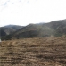 Castillo De Locubin property: Castillo De Locubin, Spain Land 283054