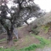 Castillo De Locubin property: Beautiful Farmhouse for sale in Castillo De Locubin 283059