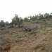 Castillo De Locubin property: Beautiful Farmhouse for sale in Jaen 283059