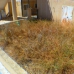 town, Spain Apartment 283083