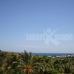 Marbella property: Marbella, Spain Villa 283169