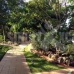 Marbella property: Marbella, Spain Villa 283226