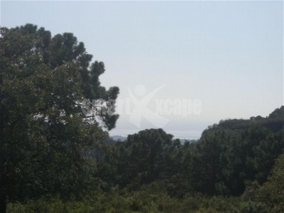 Benahavis property: Land for sale in Benahavis 283244