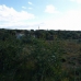 Marbella property: Malaga, Spain Land 283289