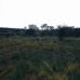 Marbella property: Malaga Land, Spain 283289