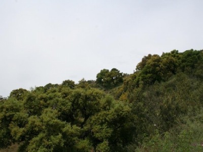 Benahavis property: Land with bedroom in Benahavis 283295