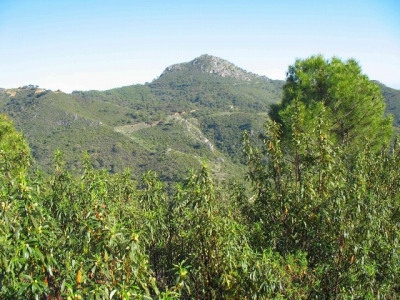 Benahavis property: Land for sale in Benahavis, Malaga 283301