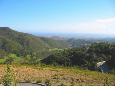 Benahavis property: Land in Malaga for sale 283301