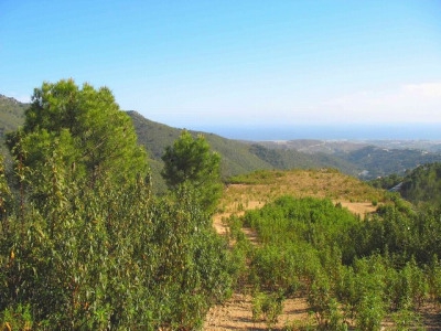 Benahavis property: Benahavis, Spain | Land for sale 283301
