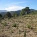 Benahavis property: bedroom Land in Benahavis, Spain 283301