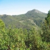 Benahavis property: Land in Malaga 283301