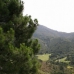 Benahavis property: bedroom Land in Benahavis, Spain 283324
