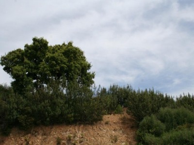 Benahavis property: Land with bedroom in Benahavis, Spain 283331