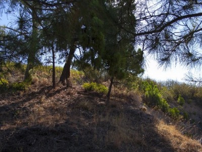 Benahavis property: Land with bedroom in Benahavis 283339