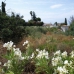 Marbella property: Land for sale in Marbella 283351