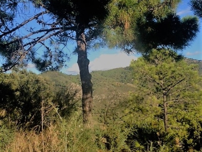Benahavis property: Malaga property | bedroom Land 283361