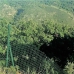 Benahavis property: Benahavis, Spain Land 283361