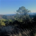 Benahavis property: Land in Benahavis 283361