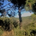 Benahavis property: Benahavis Land, Spain 283361