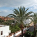 Marbella property: Marbella, Spain Apartment 283392