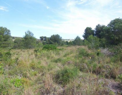 Moraira property: Villa with bedroom in Moraira 283493